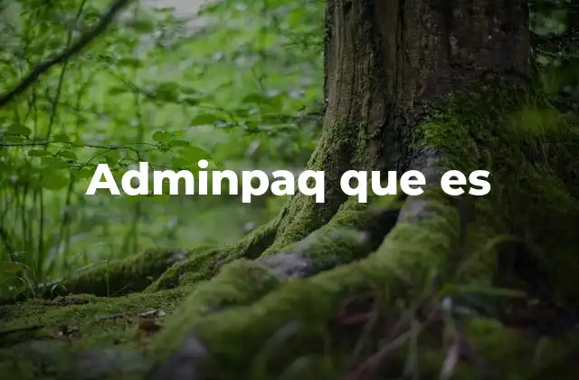Adminpaq que es