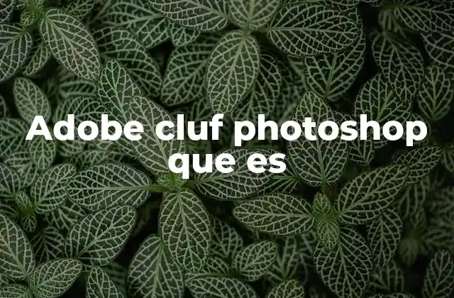 Adobe Cluf Photoshop que es