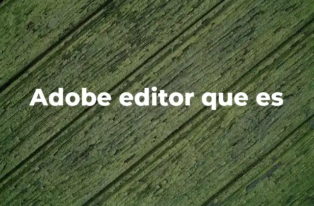 Adobe Editor que es