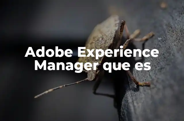 Adobe Experience Manager que es