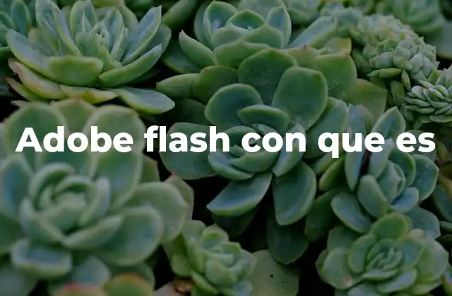 Adobe Flash con que es