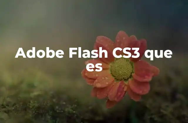 Adobe Flash Cs3 que es