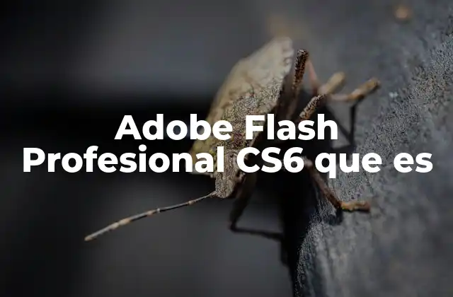 Adobe Flash Profesional Cs6 que es 2 La importancia del desarrollo multimedia en la web