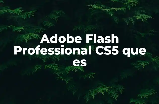 Adobe Flash Professional Cs5 que es