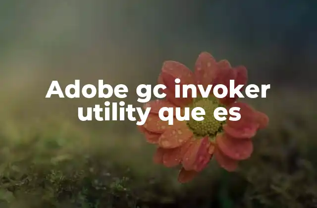 Cómo funciona Adobe GC Invoker Utility en el entorno de desarrollo