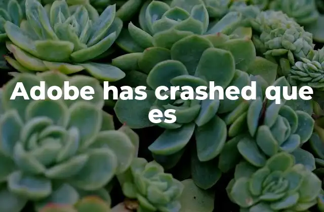 Adobe Has Crashed que es 2 Causas comunes detrás de los errores de Adobe