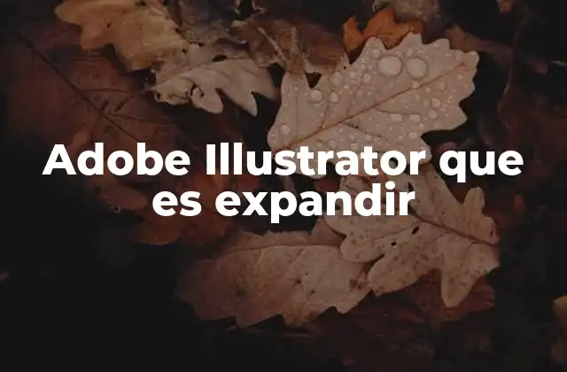Adobe Illustrator que es Expandir