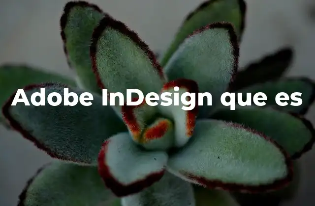 Adobe Indesign que es