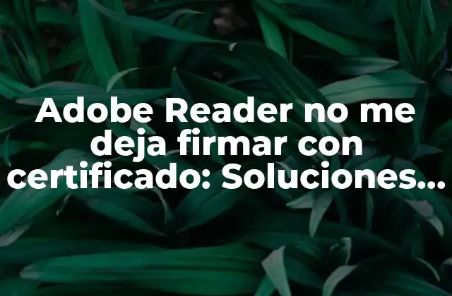 Adobe Reader No Me Deja Firmar con Certificado: Soluciones y Trucos