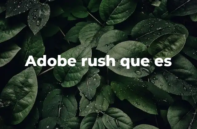 Adobe Rush como herramienta de edición multimedia