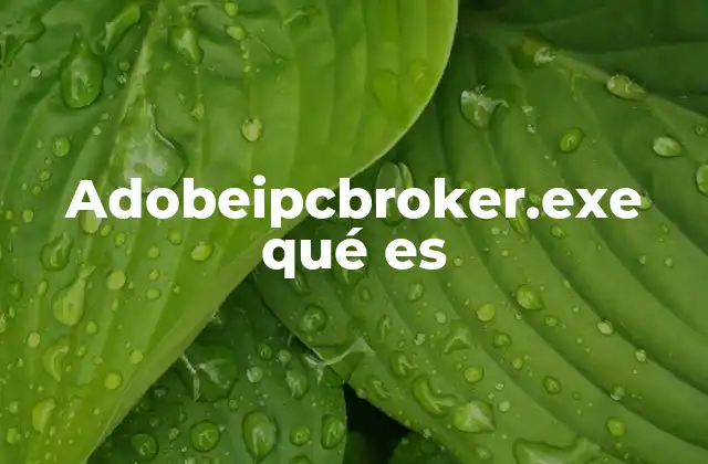 Adobeipcbroker.exe Qué es