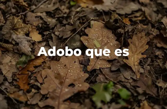Adobo que es