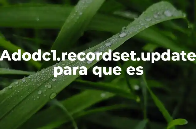 Cómo funciona el flujo de datos al usar adodc1.recordset.update