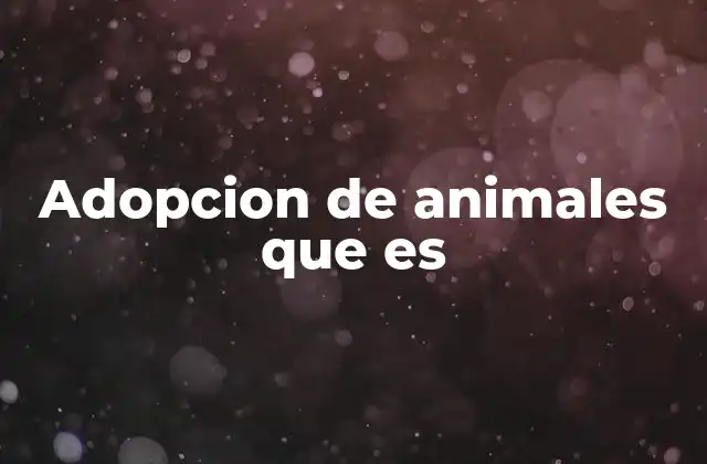 La importancia de elegir una vida con un animal adoptado