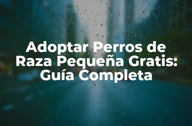 Adoptar Perros de Raza Pequeña Gratis: Guía Completa