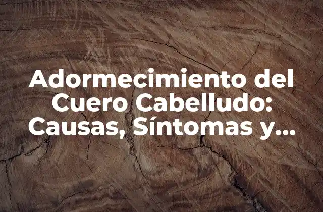 Adormecimiento Del Cuero Cabelludo: Causas, Síntomas y Tratamientos