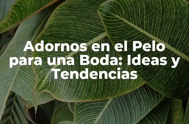 Adornos en el Pelo para una Boda: Ideas y Tendencias