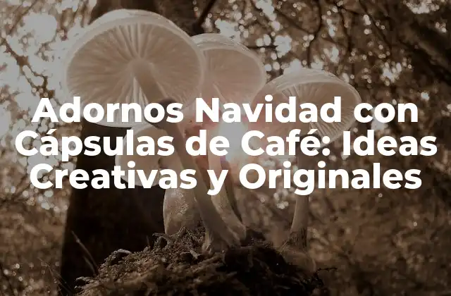 Adornos Navidad con Cápsulas de Café: Ideas Creativas y Originales 2 ¿Por qué los Adornos Navidad con Cápsulas de Café son una Opción Ecológica?