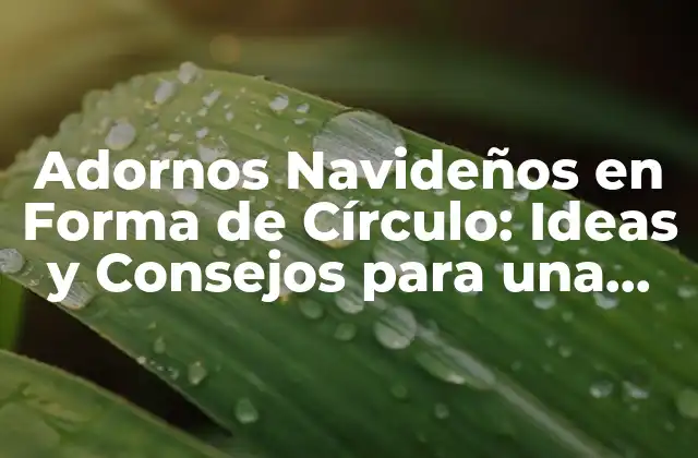 Adornos Navideños en Forma de Círculo: Ideas y Consejos para una Decoración Única