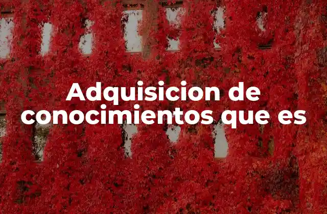 Adquisicion de Conocimientos que es