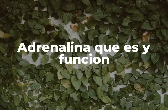 Adrenalina que es y Funcion