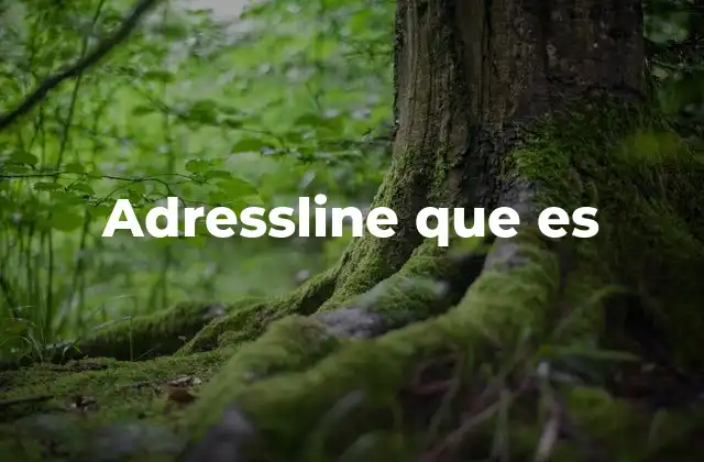 Adressline que es