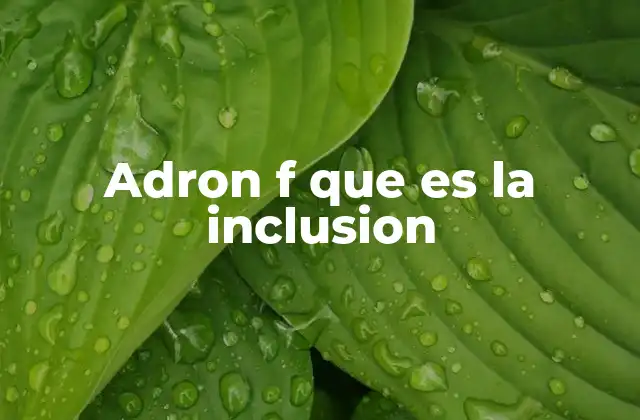 Adron F que es la Inclusion