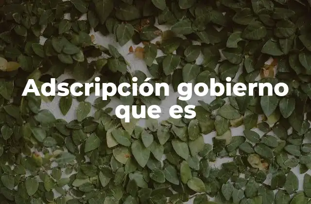 Adscripción Gobierno que es