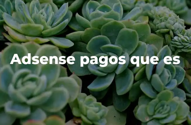 Adsense Pagos que es