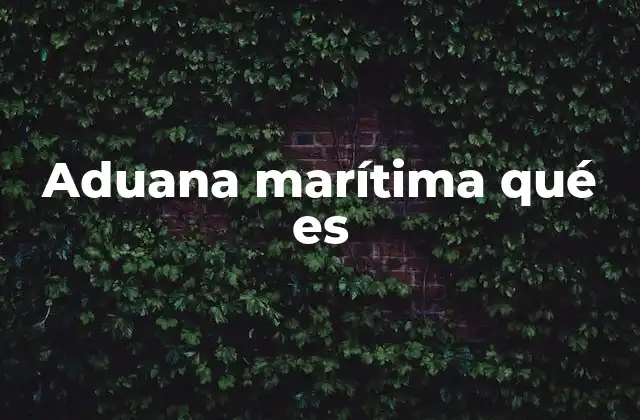 Aduana Marítima Qué es