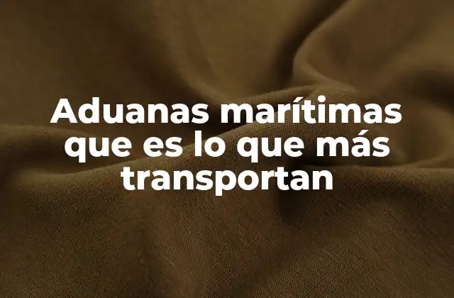 Aduanas Marítimas que es Lo que Más Transportan 2 El rol estratégico de los puertos en el comercio marítimo