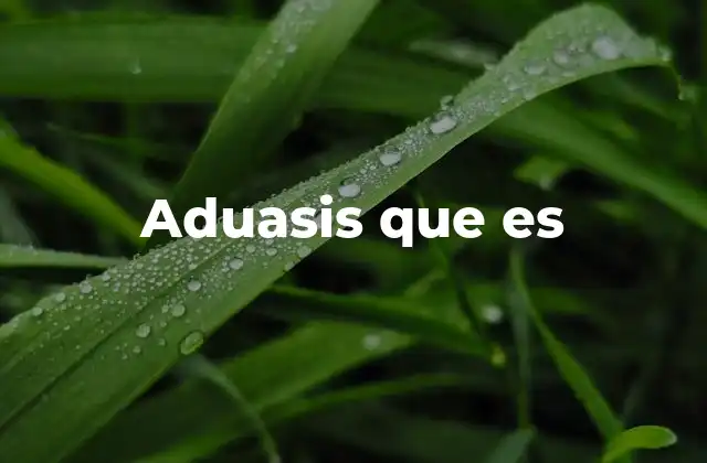 Aduasis que es