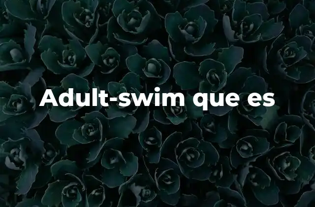 Adult-swim que es