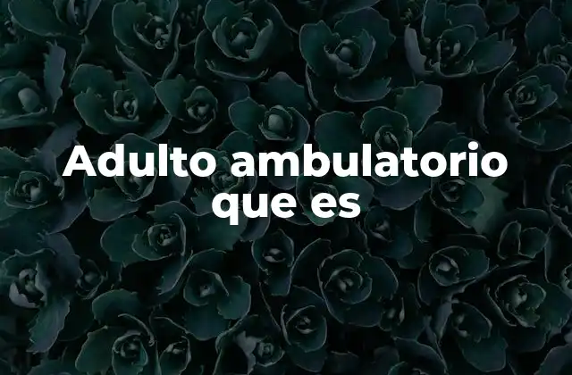 Adulto Ambulatorio que es 2 La importancia del estado ambulatorio en la atención sanitaria