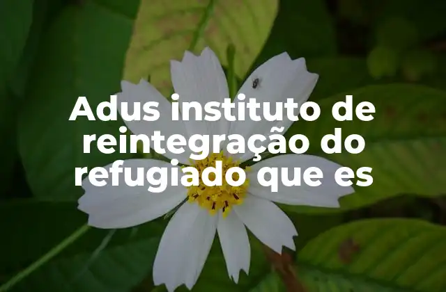 Adus Instituto de Reintegração Do Refugiado que es