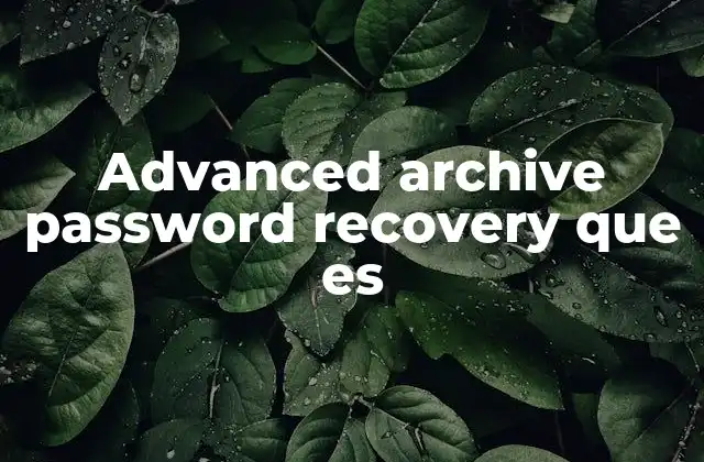 Advanced Archive Password Recovery que es