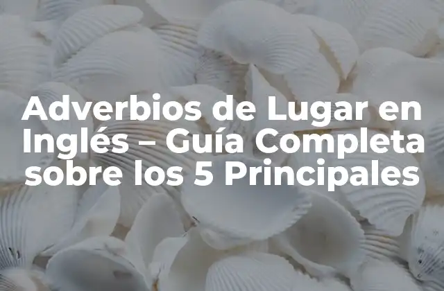 Adverbios de Lugar en Inglés – Guía Completa sobre los 5 Principales