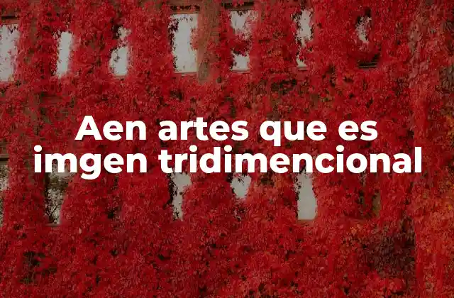 Aen Artes que es Imgen Tridimencional