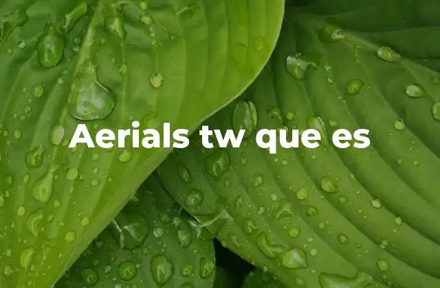 Aplicaciones de las antenas aéreas TW en la comunicación moderna