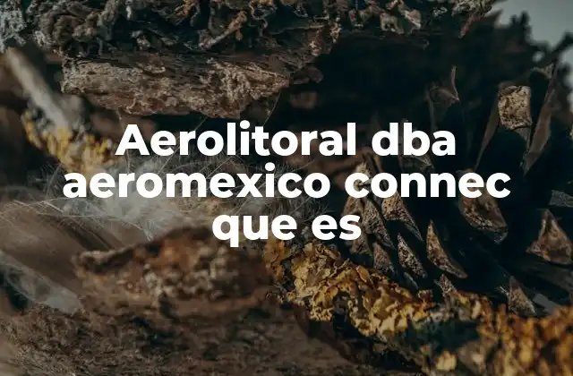 Cómo Aerolitoral y Aeroméxico trabajan en conjunto