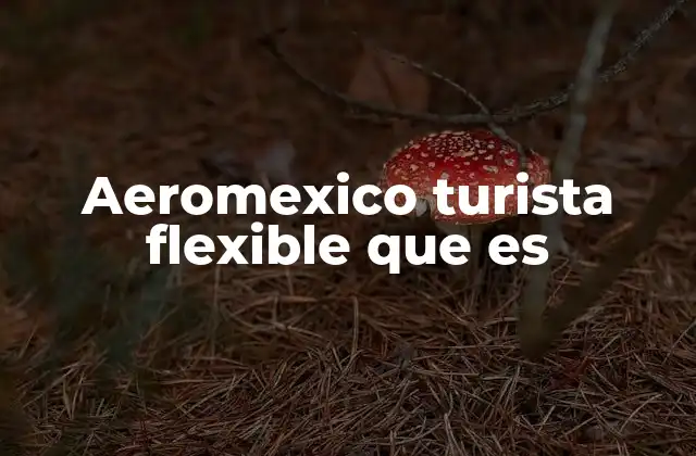 Aeromexico Turista Flexible que es