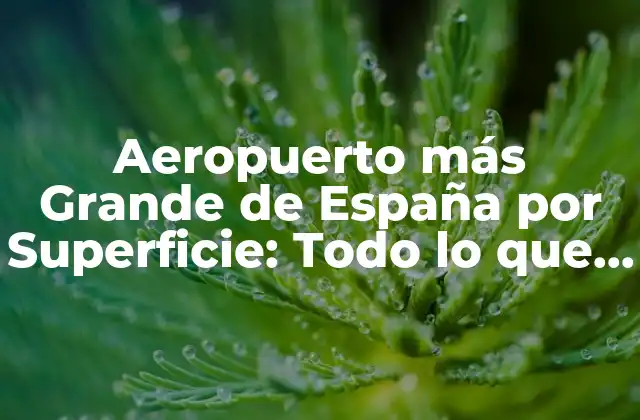 Aeropuerto Más Grande de España por Superficie: Todo Lo que Debes Saber