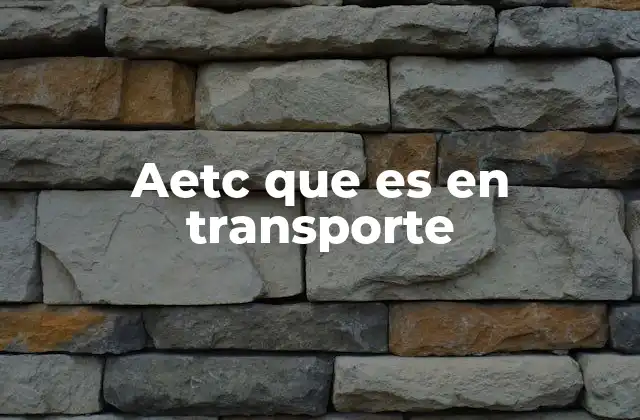 Aetc que es en Transporte 2 El papel de AETC en la gestión del transporte público