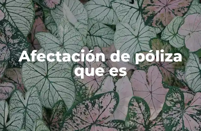 Afectación de Póliza que es