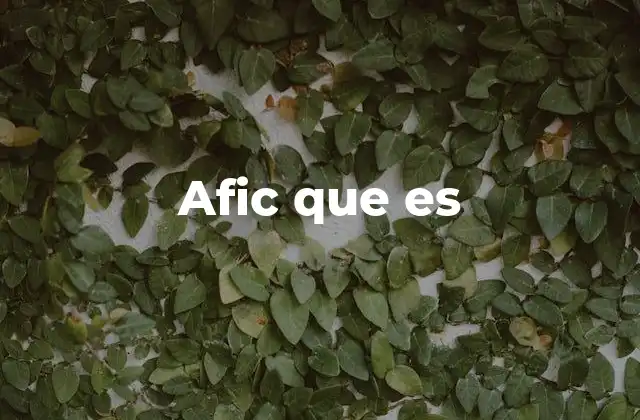 Afic que es