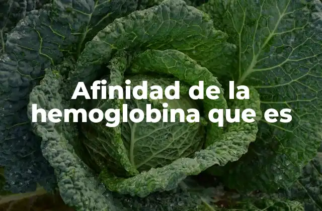 Afinidad de la Hemoglobina que es