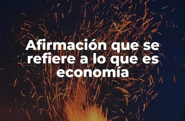 Afirmación que Se Refiere a Lo que es Economía