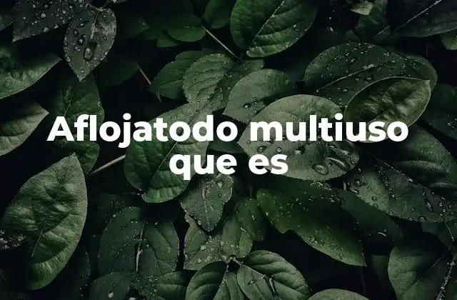 Aflojatodo Multiuso que es