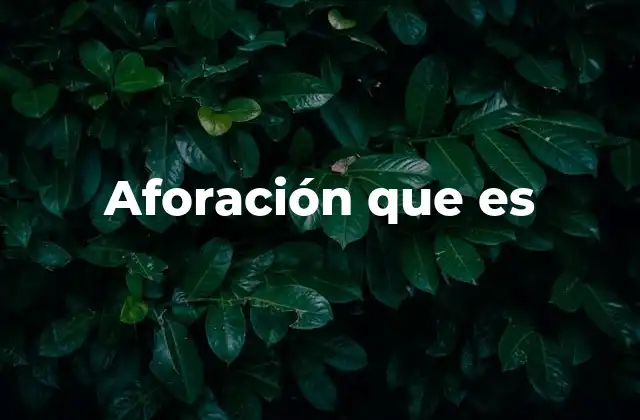 Aforación que es 2 La importancia de calcular el número máximo de personas en un espacio