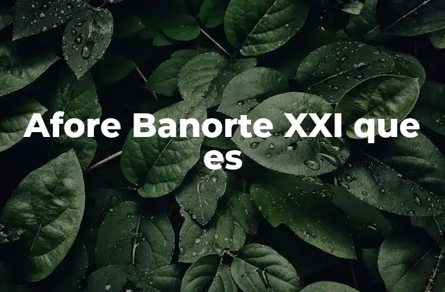 Afore Banorte Xxi que es